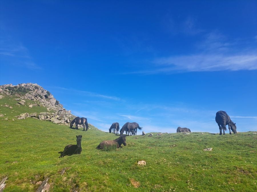 Oindo, un enclave mágico