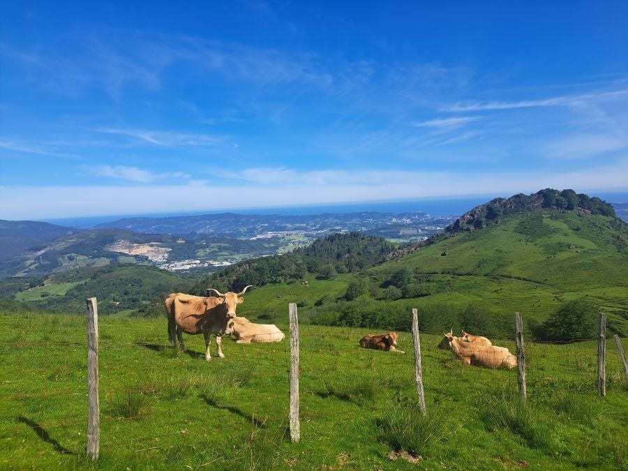 Oindo, un enclave mágico