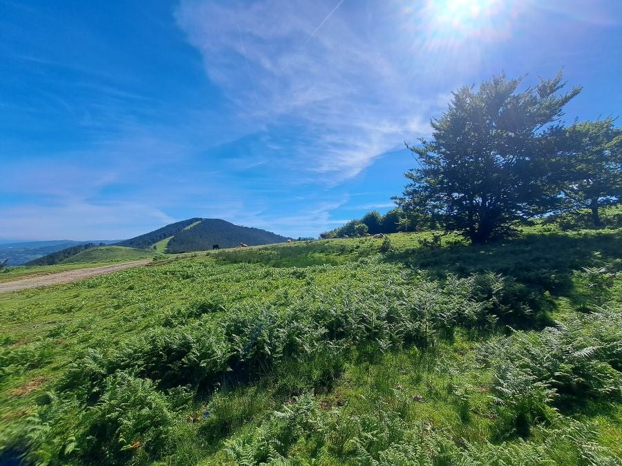 Oindo, un enclave mágico