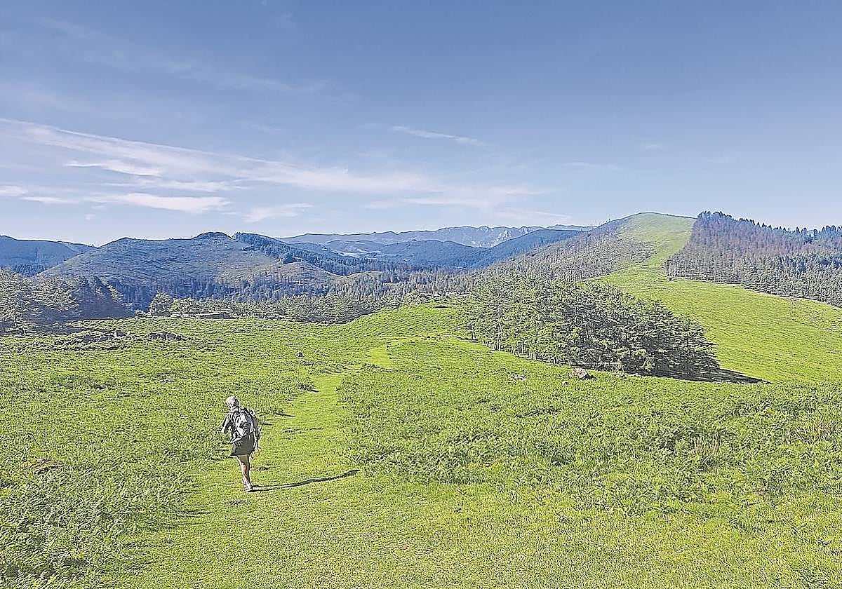 Desde las faldas de Adarra. la cima herbosa de Oindo semuestra traqnuila, con la línea de las Malloas de Aralar detrás.