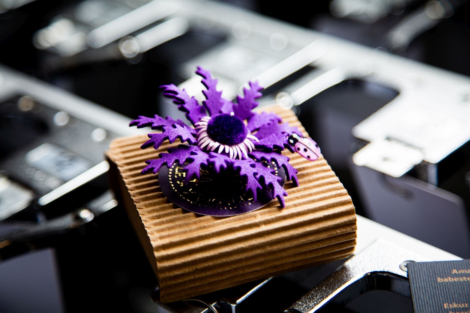 Gran fiesta de las socias de las asociaciones de mujeres