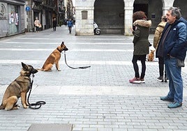 Fieles compañeros. Imagen del curso en la plaza Zaharra. dv