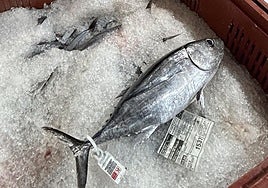 Esta especie cuenta con el sello Euskolabel que certifica la calidad.