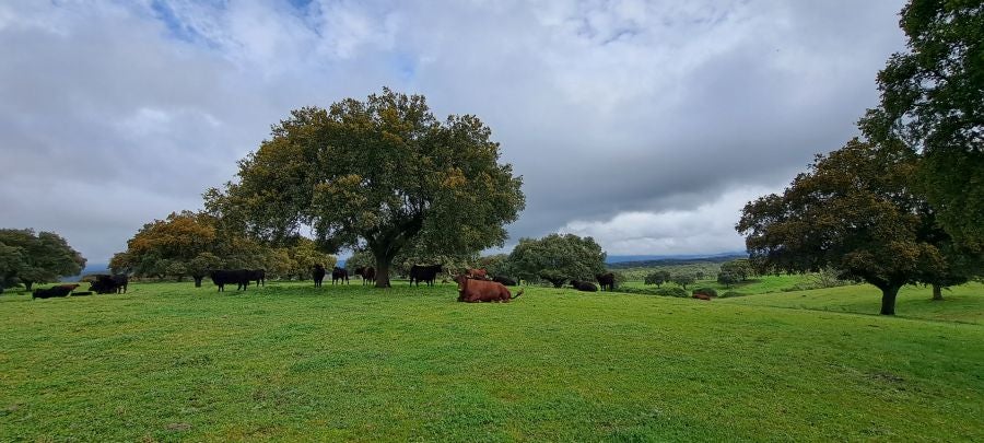 Malvana, un mirador a la Sierra de Gata