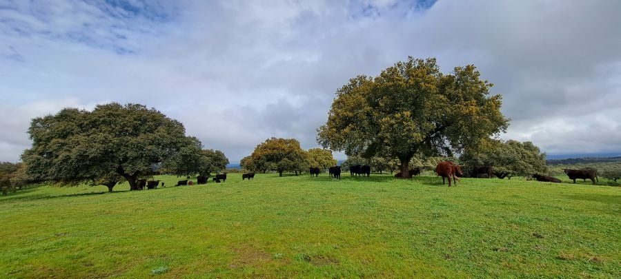 Malvana, un mirador a la Sierra de Gata