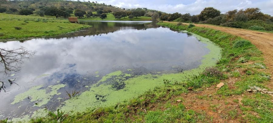 Malvana, un mirador a la Sierra de Gata