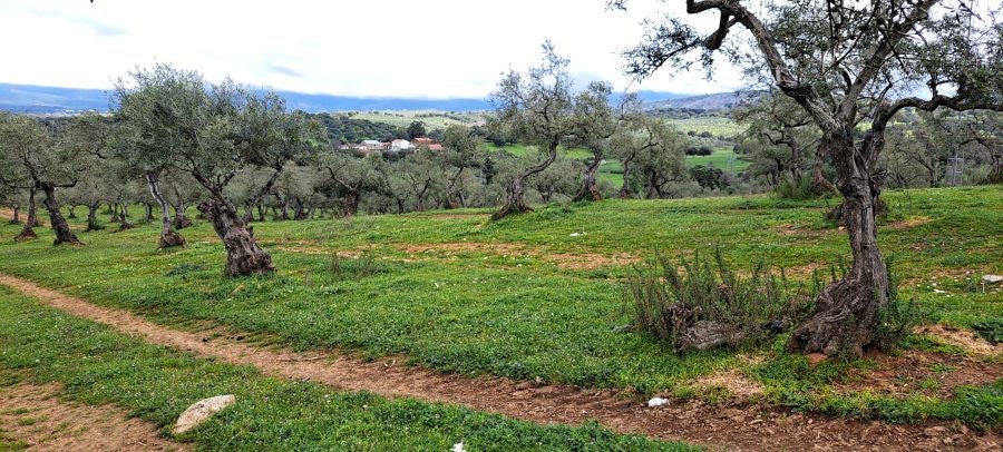 Malvana, un mirador a la Sierra de Gata