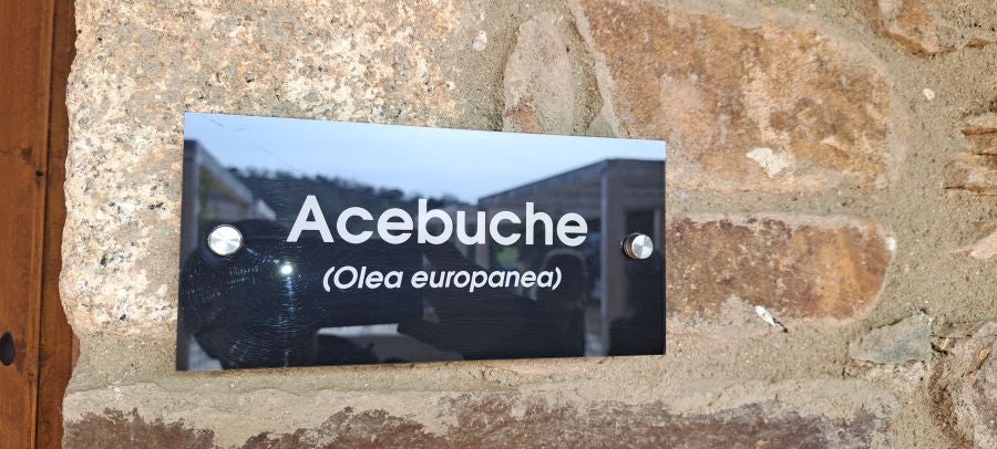 Malvana, un mirador a la Sierra de Gata