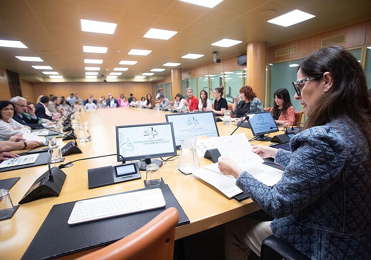 El Parlamento Vasco ha acogido esta mañana la sesión constitutiva de las comisiones de la XIII legislatura