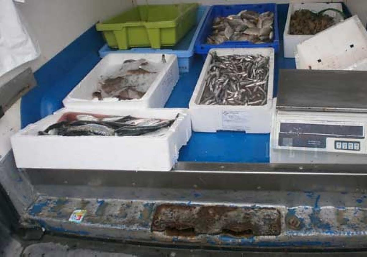 Mercancía retenida a un vehículo que pretendía vender de manera ambulante alrededor de 100 kilos de pescado.