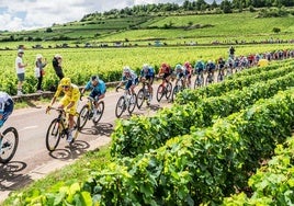 Pogacar precede a Cavendish, este jueves entre los viñedos.