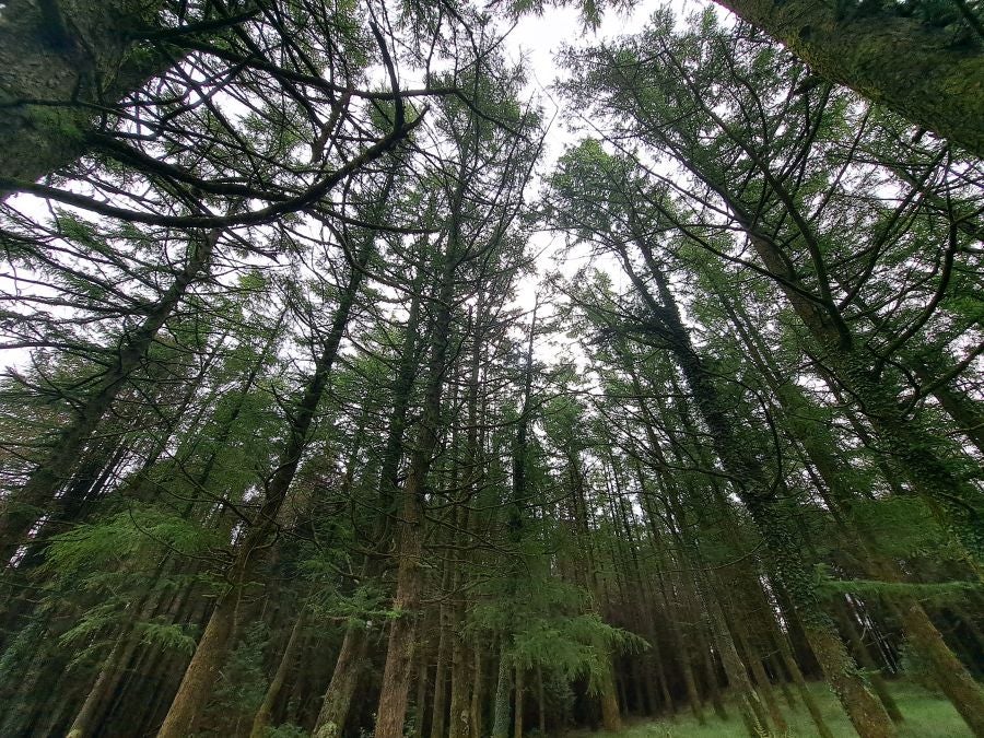 Paseo hasta la cima de Andatza