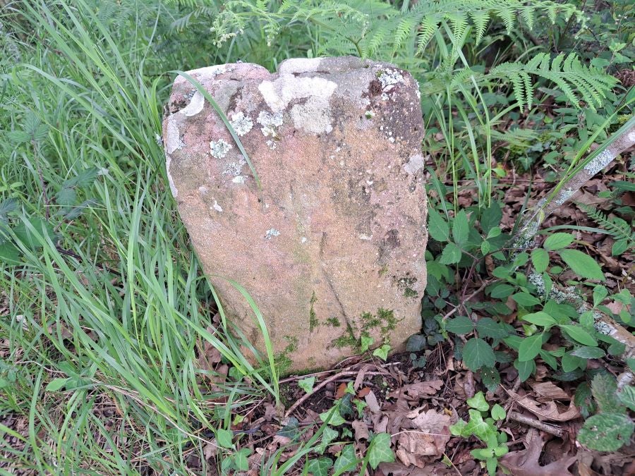 Paseo hasta la cima de Andatza