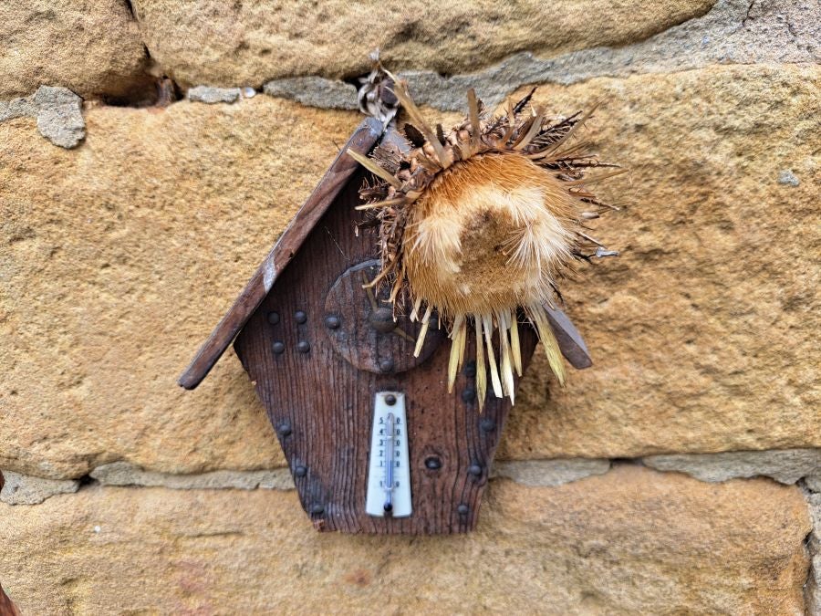 Paseo hasta la cima de Andatza