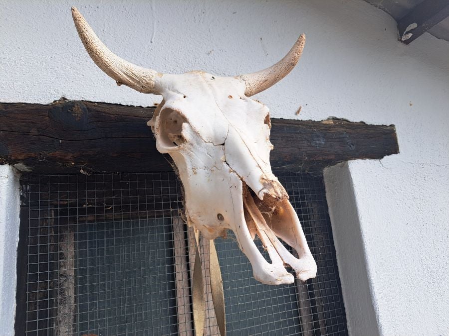 Paseo hasta la cima de Andatza