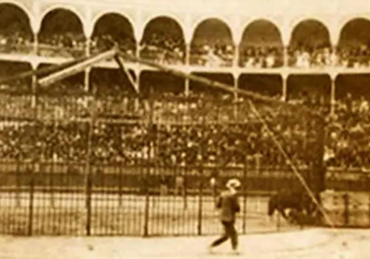 Imagen principal - 120 años de la lucha de un toro y un tigre que terminó en un sangriento tiroteo