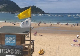 La bandera amarilla se ha izado este domingo por la mañana en la playa de La Concha por la aparición de las primeras carabelas portuguesas