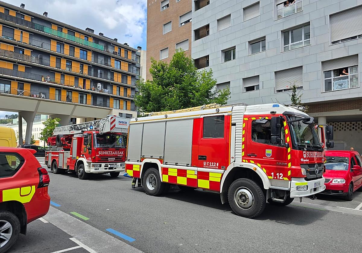 Dos camiones de bomberos del parque de Oñati han acudido al lugar de los hechos.