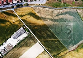 Imagen de la empresa Arkikus en la que se diferencia en un color más claro el óvalo que formaría el circo romano de Veleia.