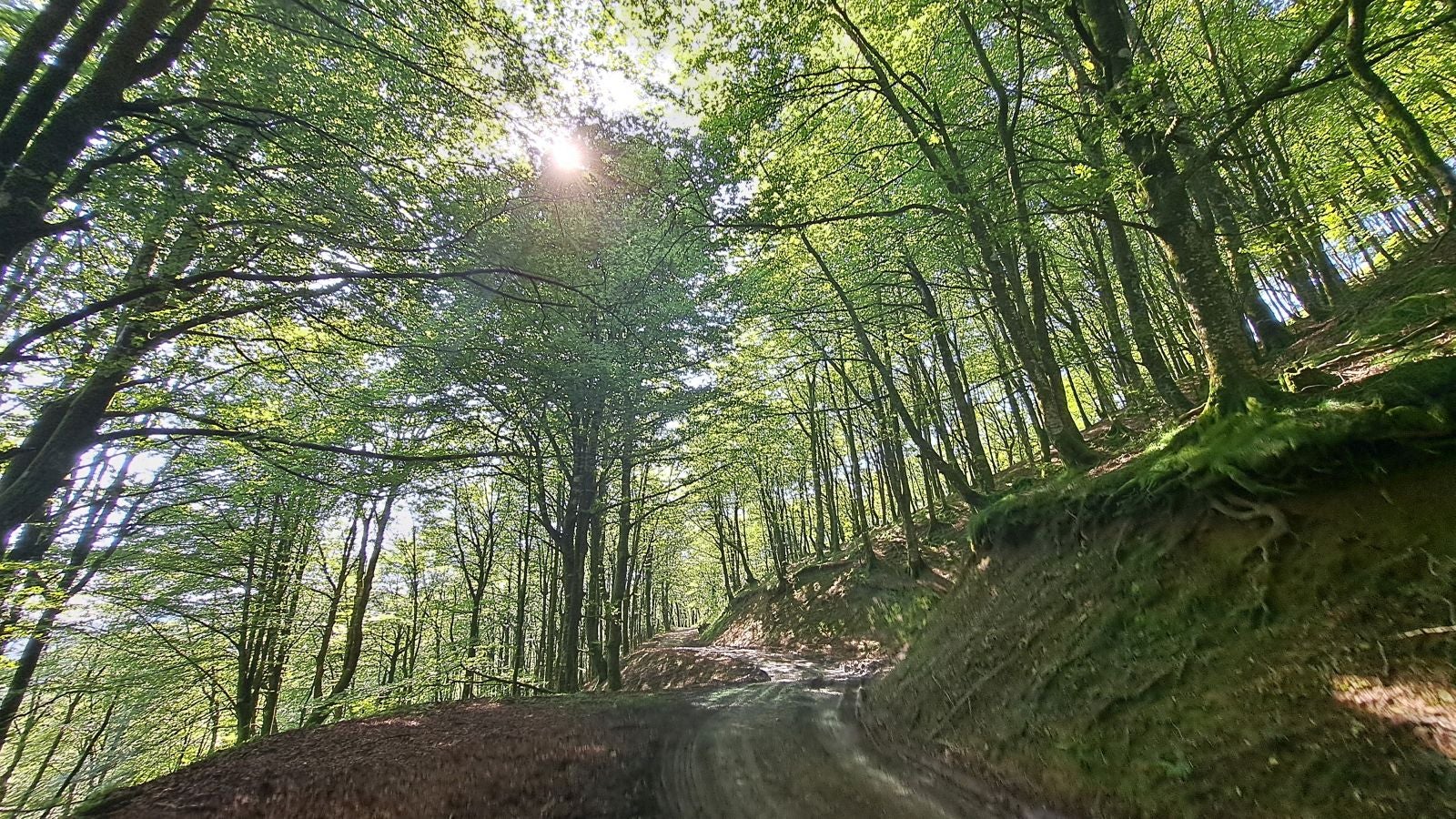 Magia y mitología en una de las bellezas naturales de Navarra