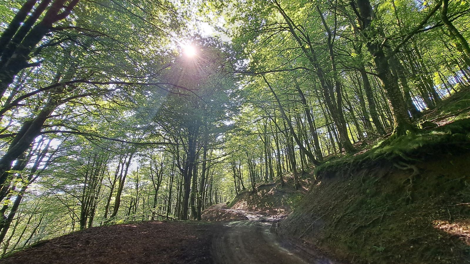 Magia y mitología en una de las bellezas naturales de Navarra