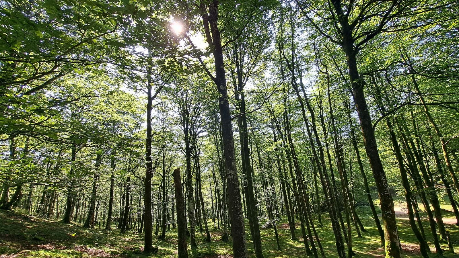 Magia y mitología en una de las bellezas naturales de Navarra