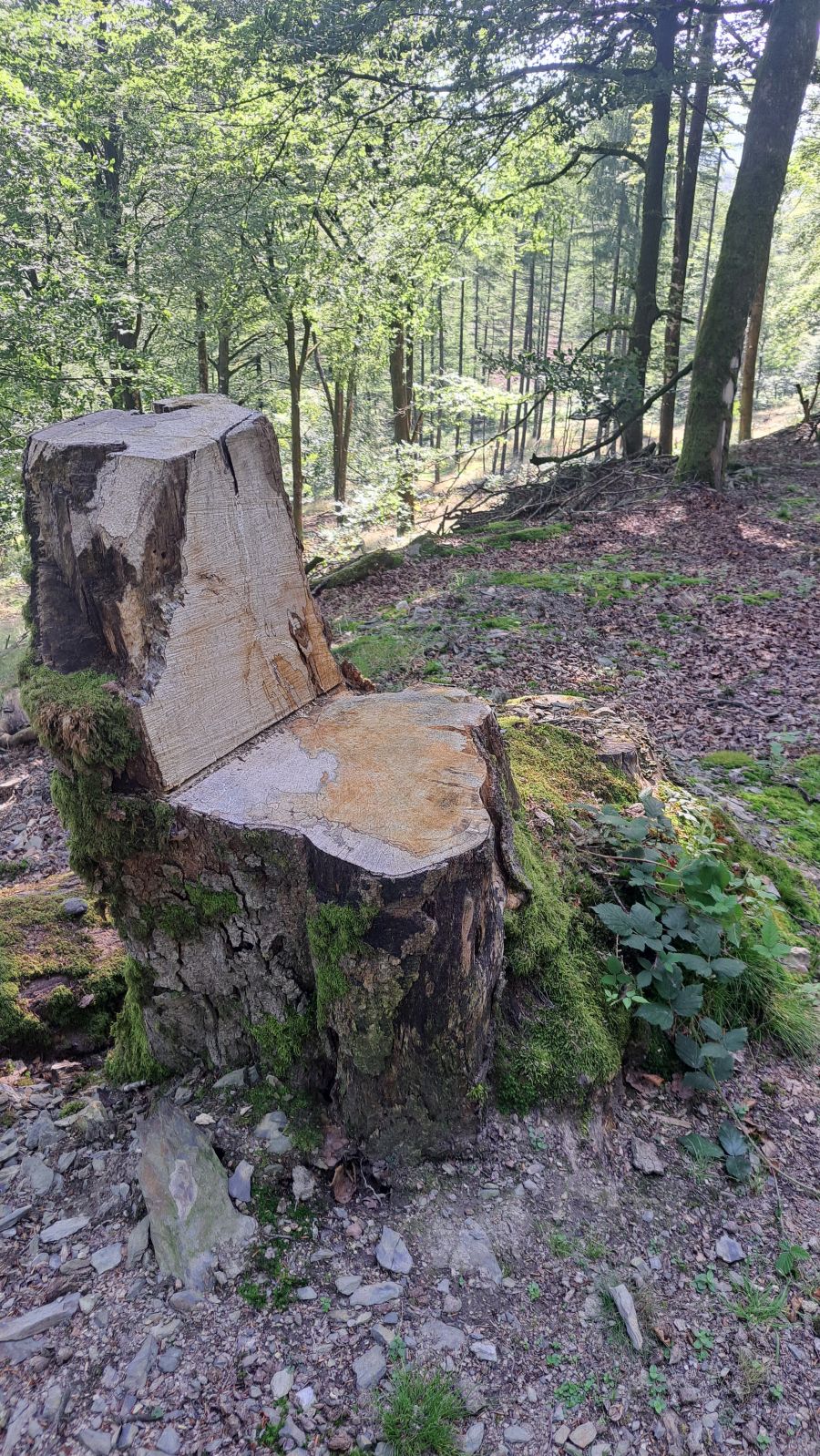 Magia y mitología en una de las bellezas naturales de Navarra