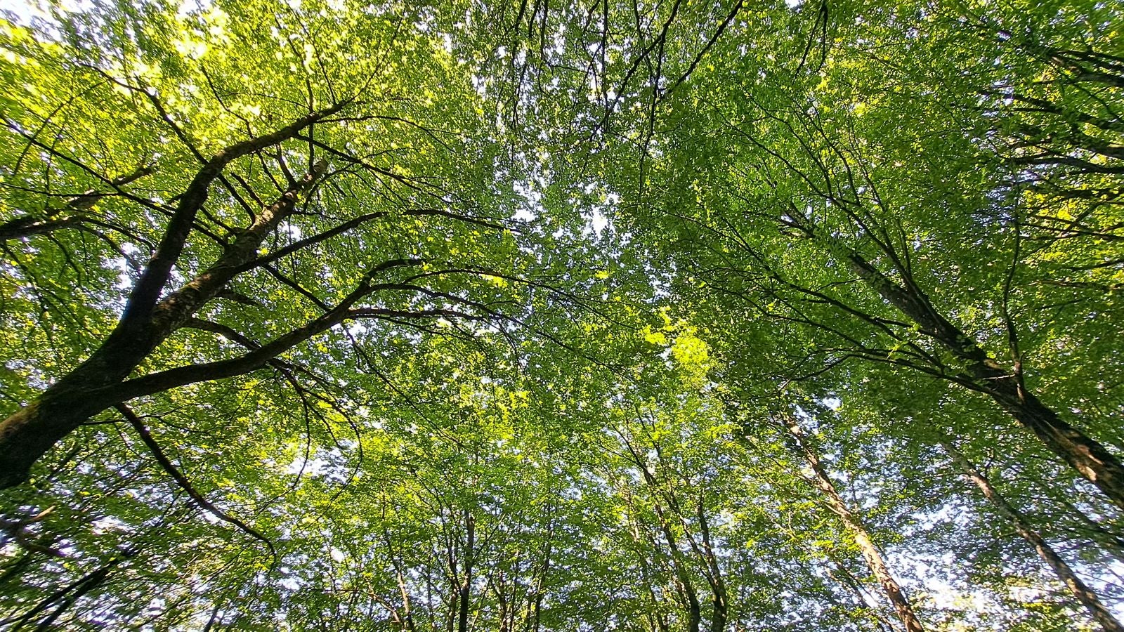 Magia y mitología en una de las bellezas naturales de Navarra