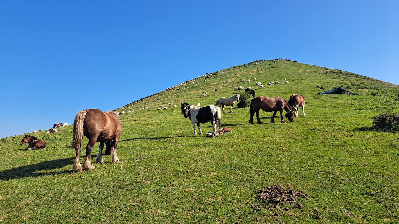 Magia y mitología en una de las bellezas naturales de Navarra