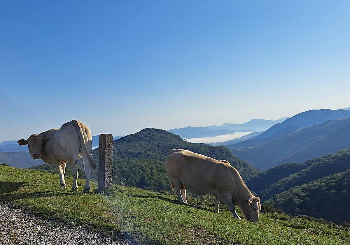 Imagen principal - Las vistas son magníficas se mire a donde se mire (1). Buzón con forma de caserío colocado por GM Jaizkibel (2). Grafitti que se encuentra en una edificación del camino (3).