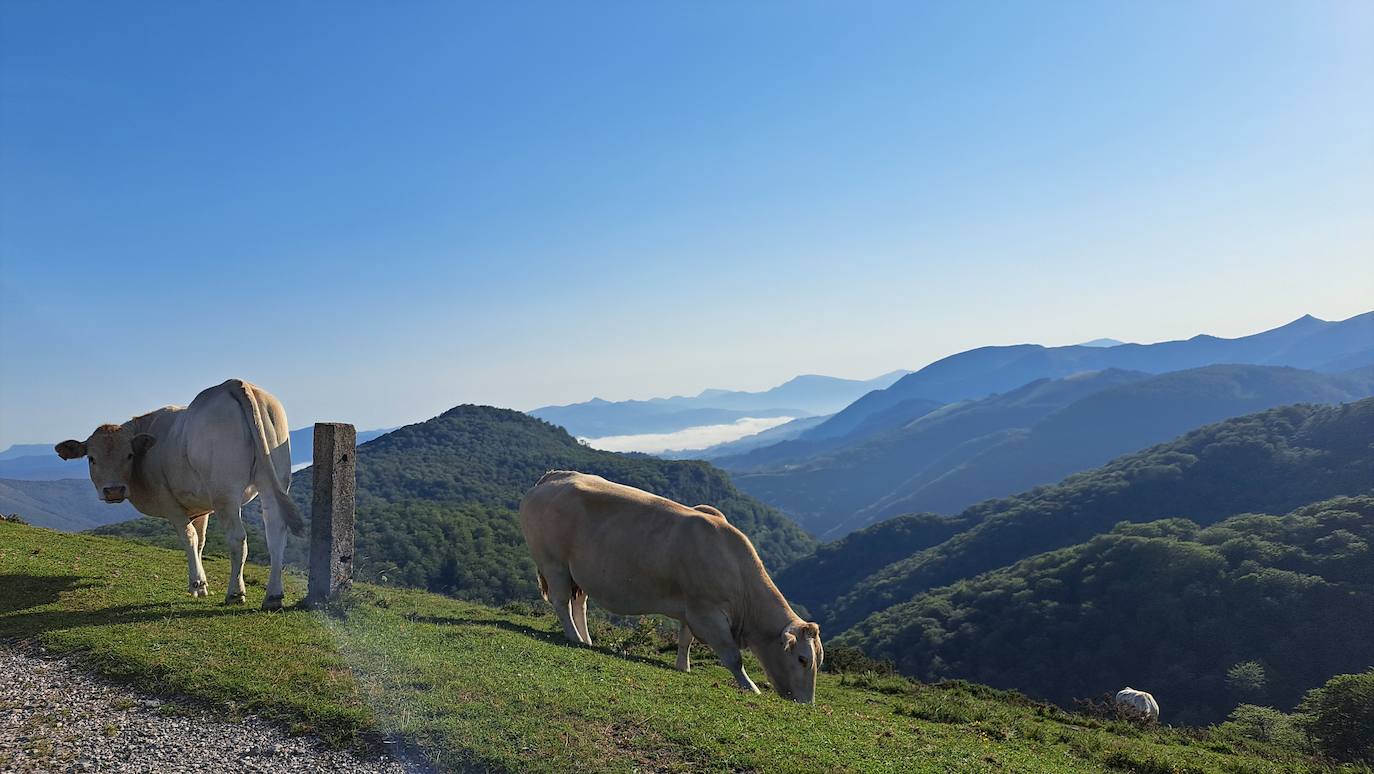 Magia y mitología en una de las bellezas naturales de Navarra