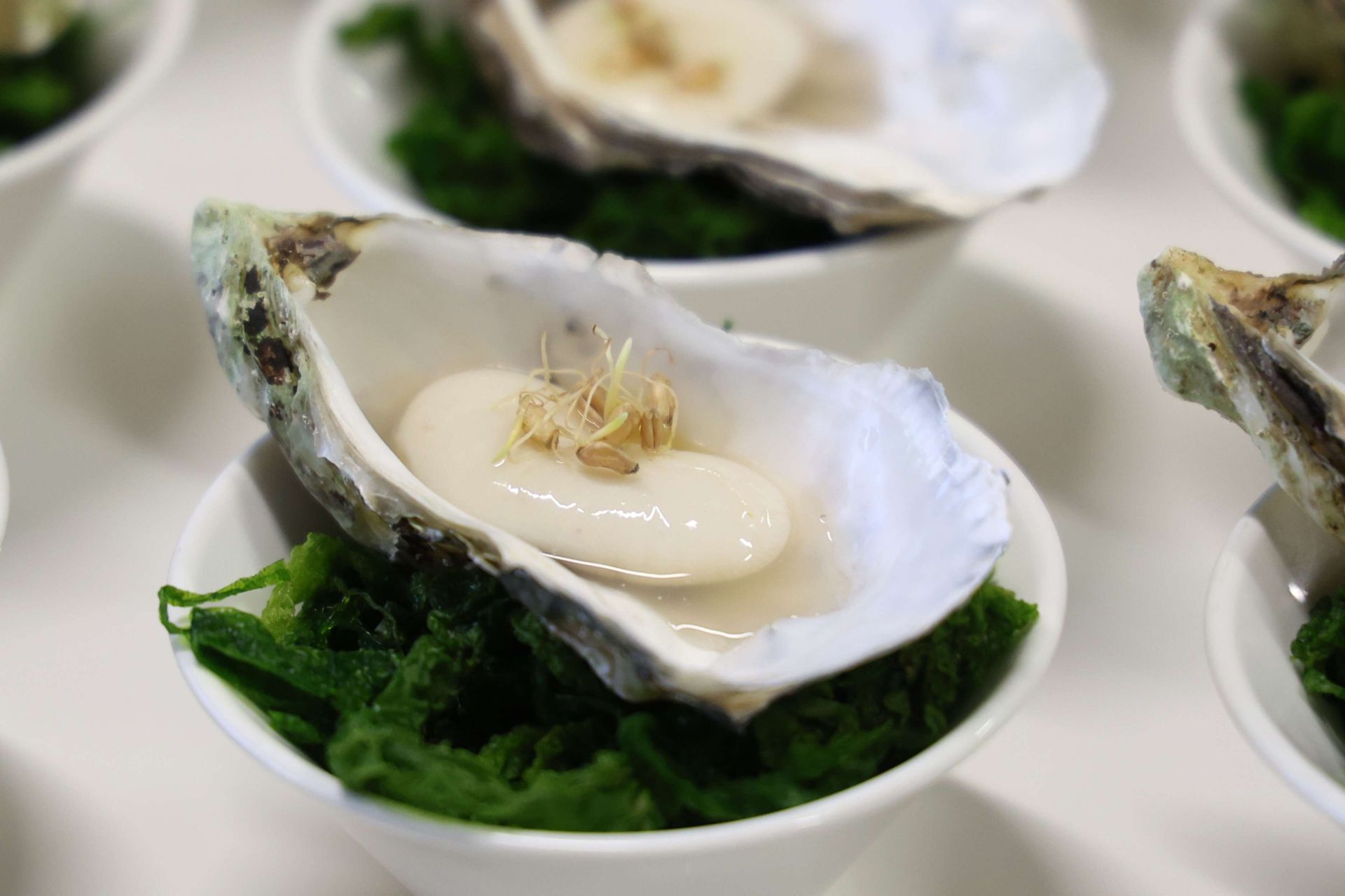 Sukaldean gozatzen dutenentzat, eskaintza berezia Basque Culinary Centerren