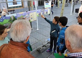 Alumnos y alumnas de los colegios tolosarras explicaron recientemente las características de los proyectos que han trabajado.