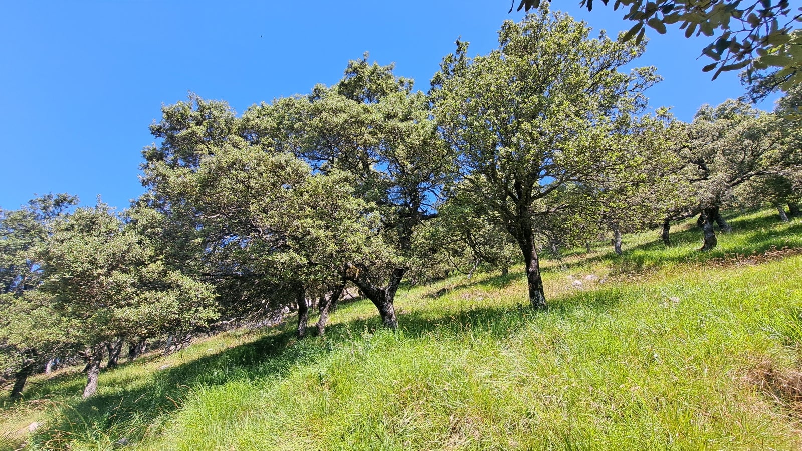 Udalatx, el gran escaparate de la muga