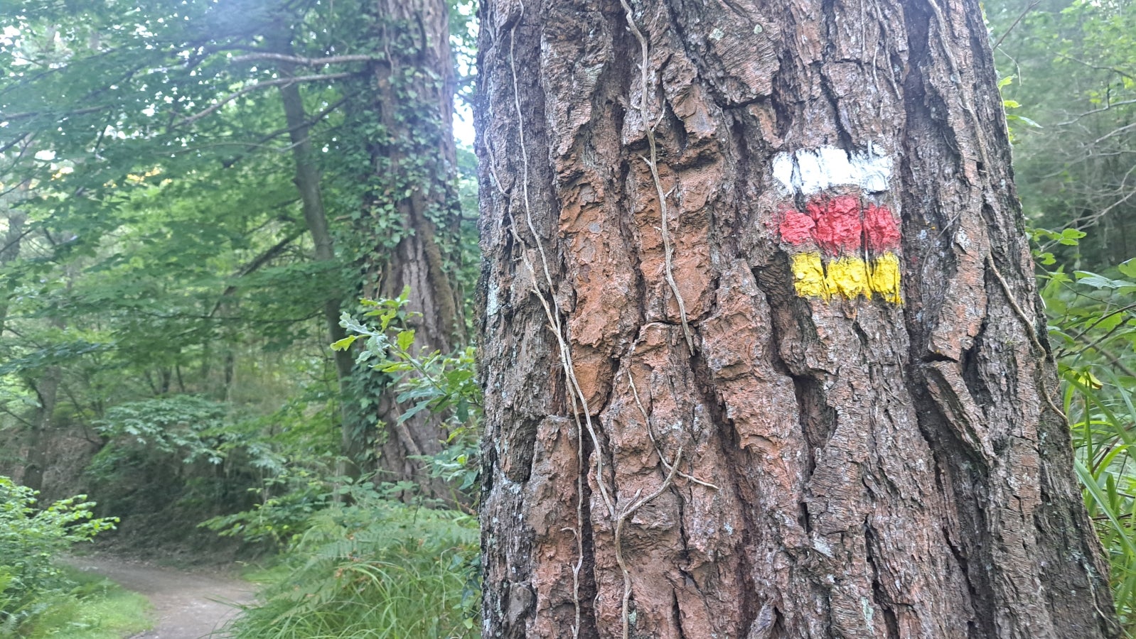 Udalatx, el gran escaparate de la muga