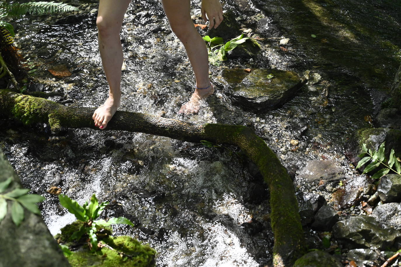 Ola de calor en Gipuzkoa