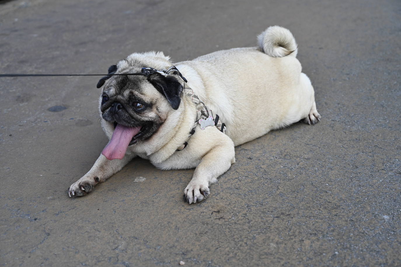 Ola de calor en Gipuzkoa