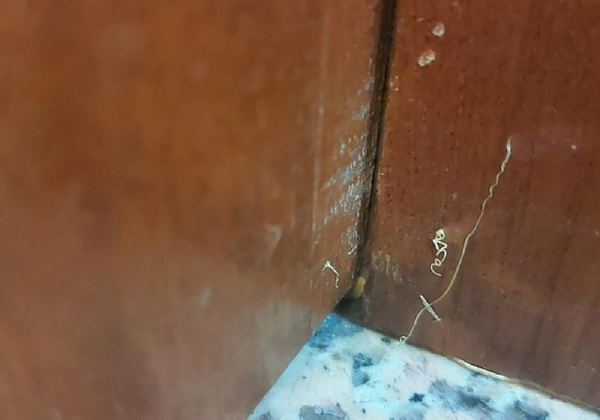 La Policía Municipal ha detectado silicona en varios bloques de viviendas.