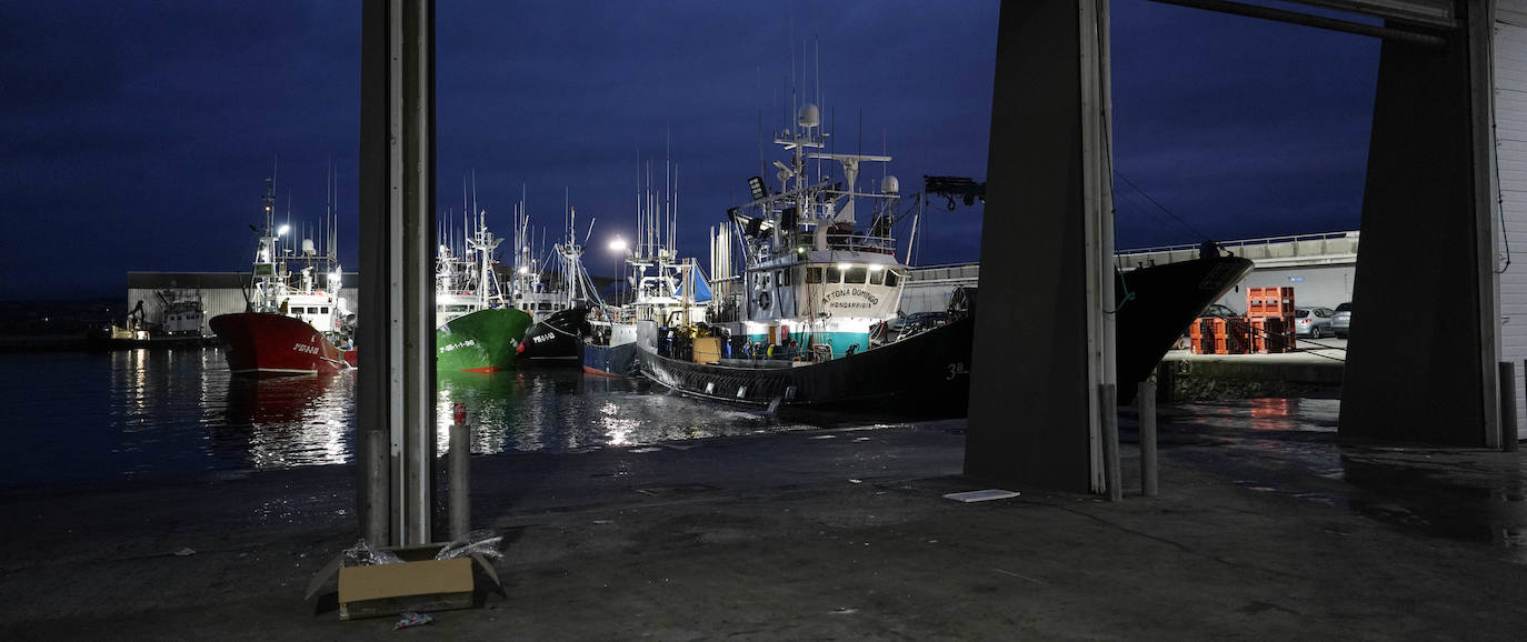 Barcos de pesca de bonito, al alba en el puerto de Hondarribia hace unos días para efectuar una descarga.