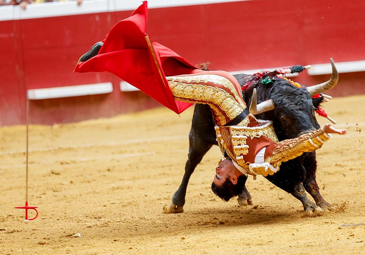 Miguel Ángel Perera, cogido por el toro, este viernes en San Sebastián.
