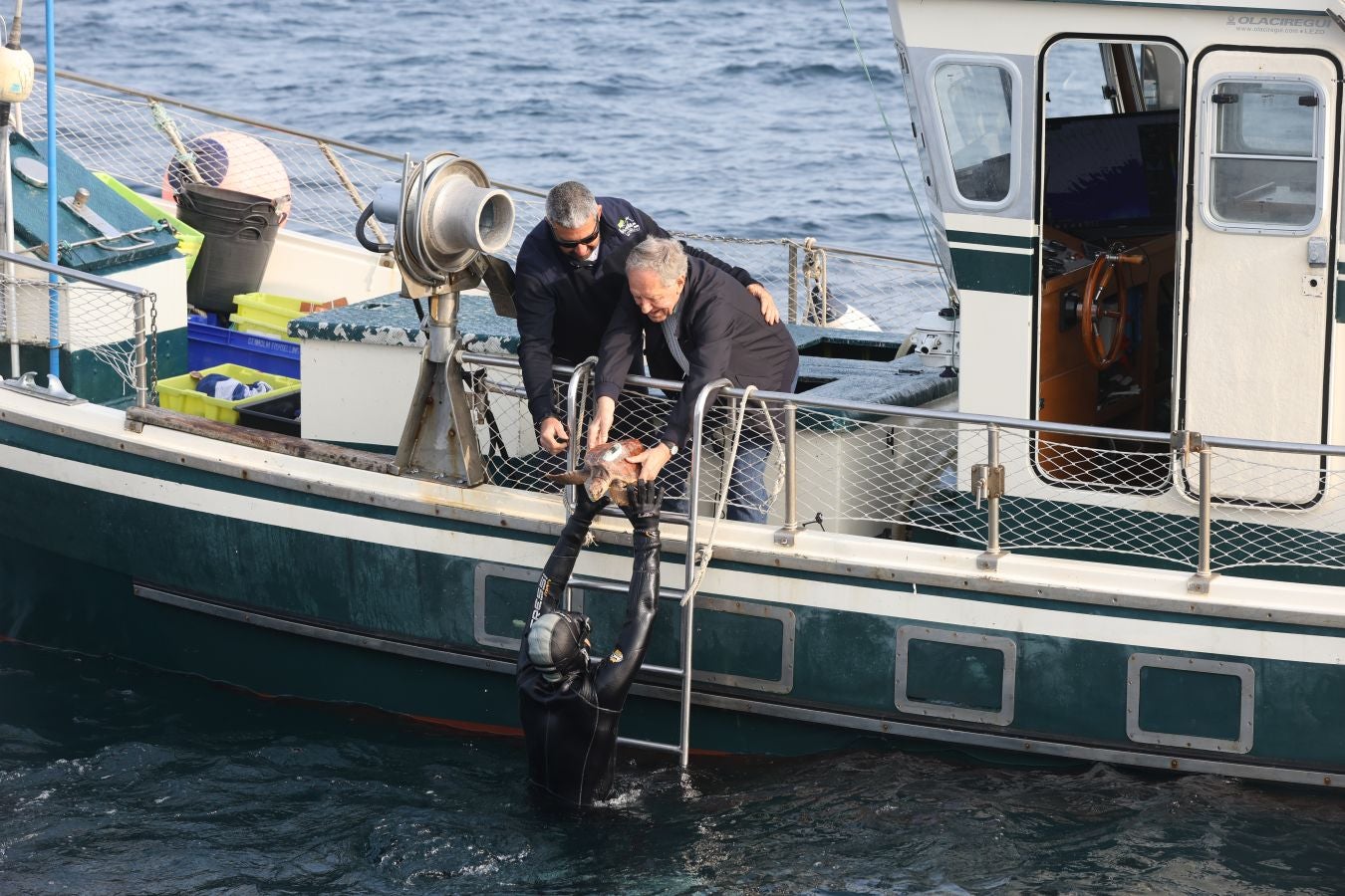 El Aquarium de San Sebastián reintroduce tres tortugas en el mar