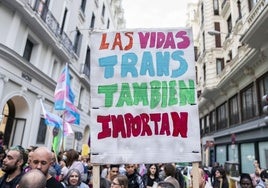 Una manifestación para reivindicar la Ley Trans.