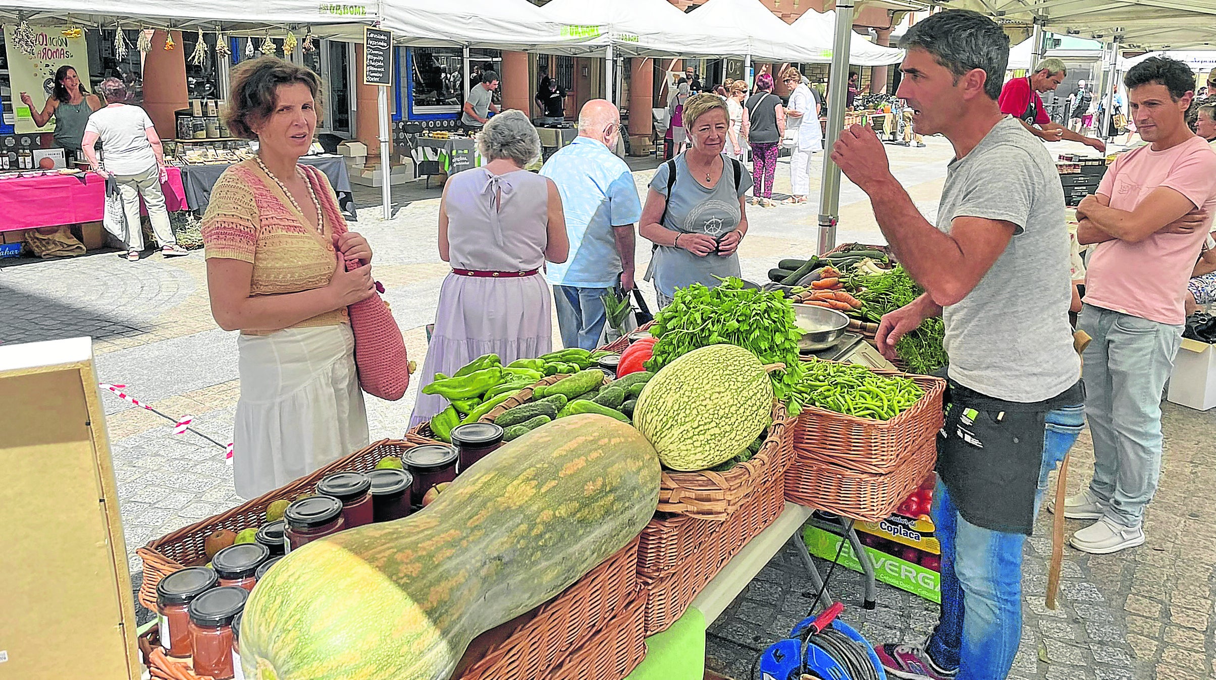 Amplia oferta en el mercado.