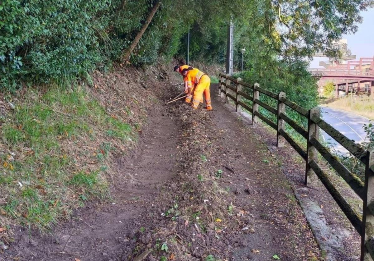 Los trabajos se han desarrollado durante tres días.