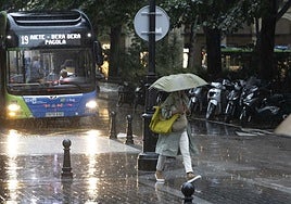 Durante esta tarde de sábado podrían caer hasta 30 litros por metro cuadrado en unja hora en cualquier punto de Gipuzkoa.