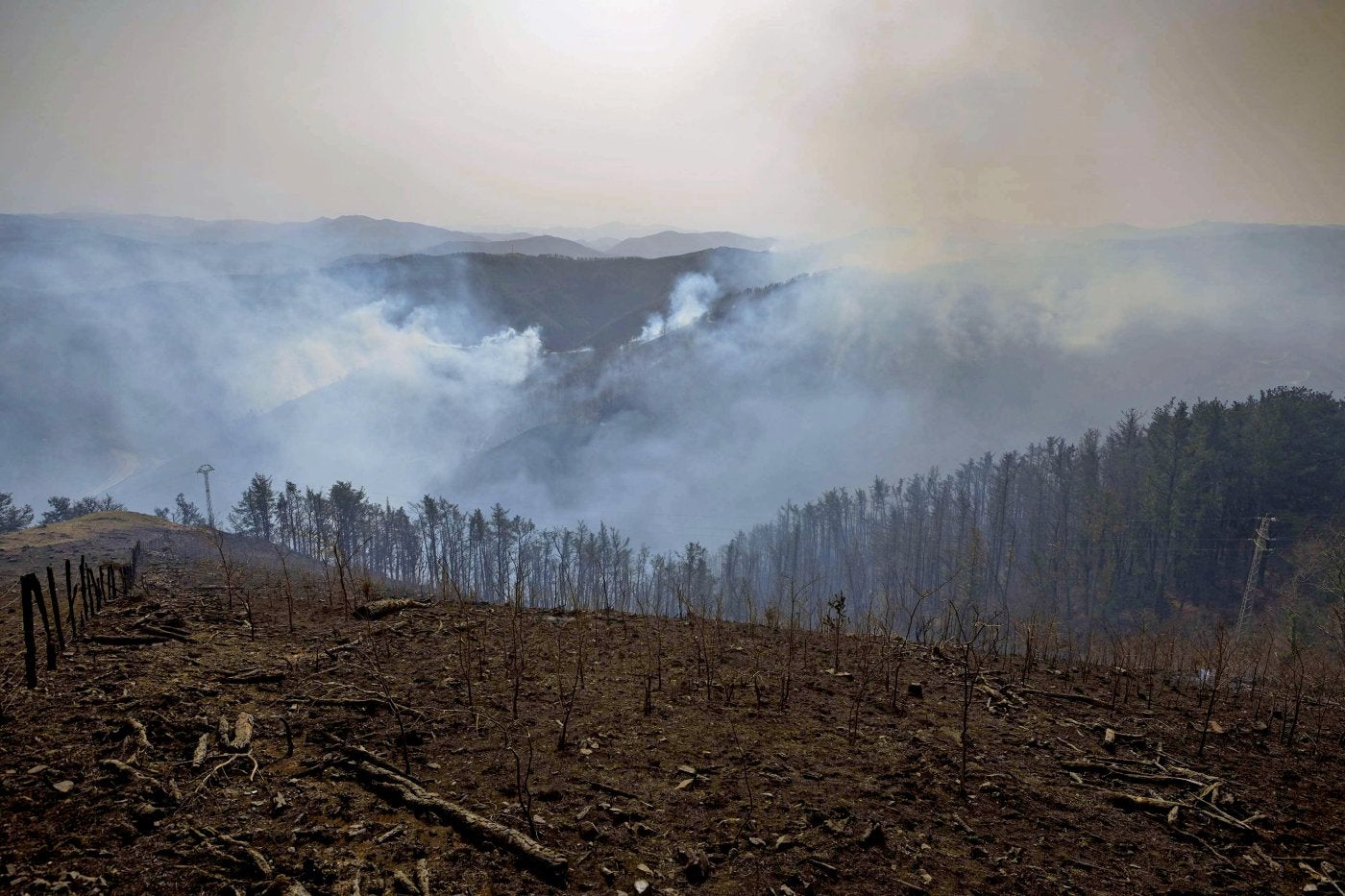 El incendio que afectó a Aiako Harriak enfebrero de 2021 ha sido el más devastadorde la última década en Gipuzkoa.