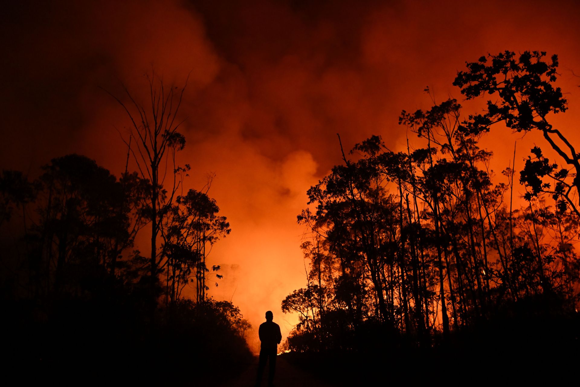 Las hectáreas arrasadas por el fuego en el Estado se han reducido sensiblemente.