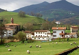 El atropello se ha producido en el termino municipal de Donamaria