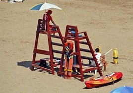 Gurutze Gorriko sorosleak lanean uda honetan.