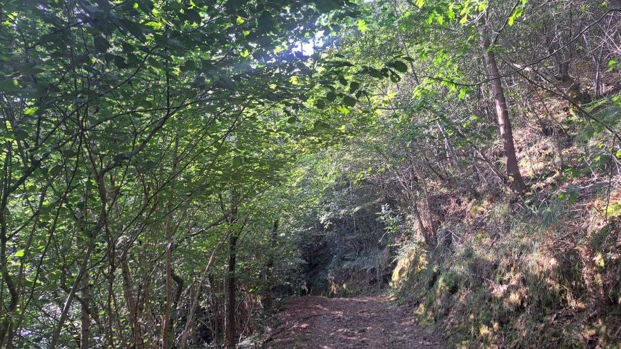 Marcha a Komizargaina por una buena causa